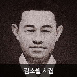 아이템 소개, 김소월 시집.