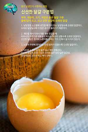 씨씨 CiCi 12호. 신선한 달걀 구분법