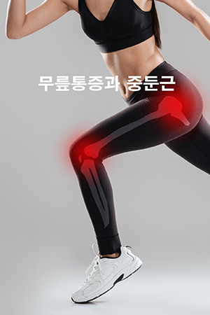 원필라 06호. 무릎통증과 중둔근